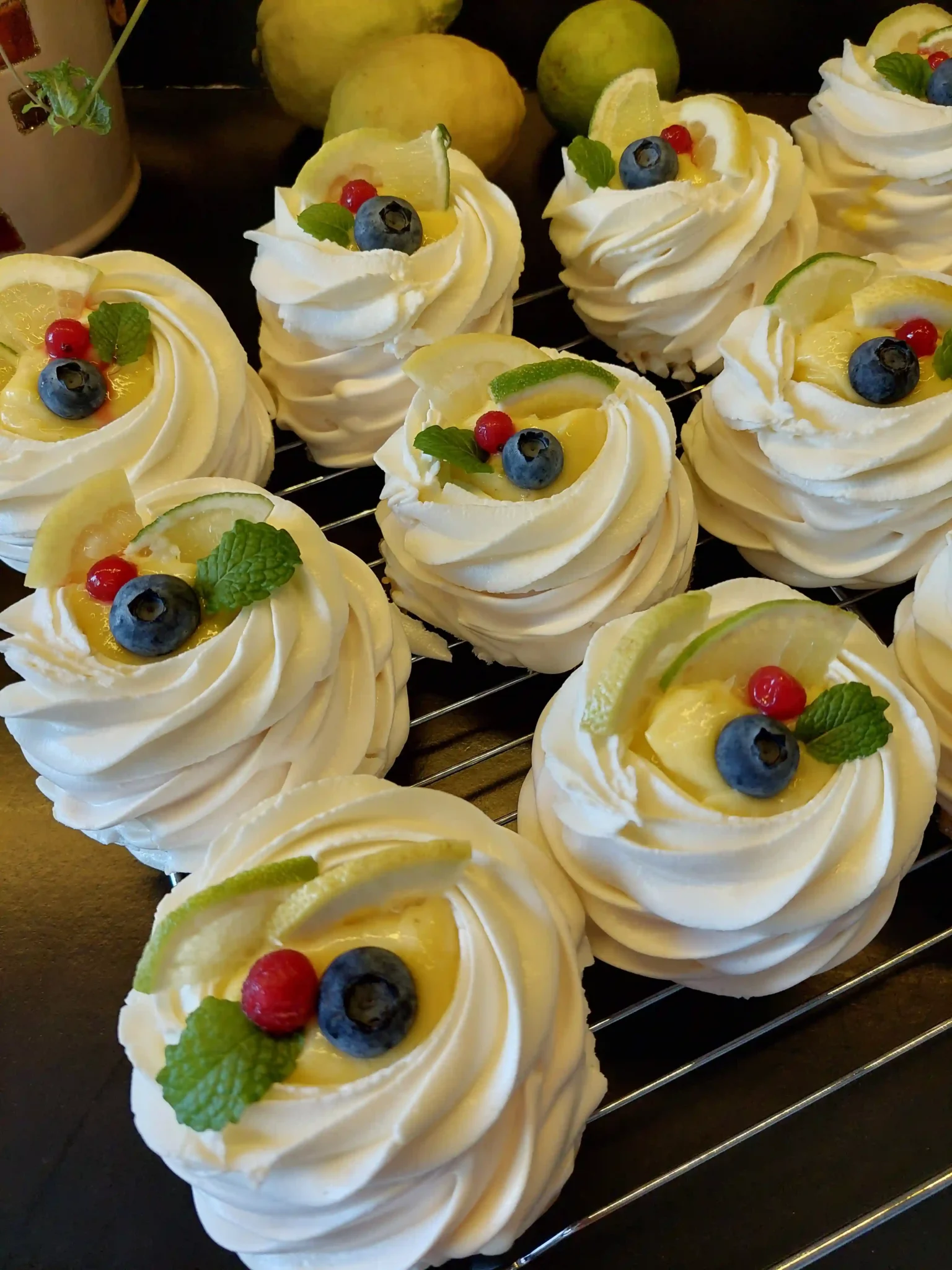 Pavlova2